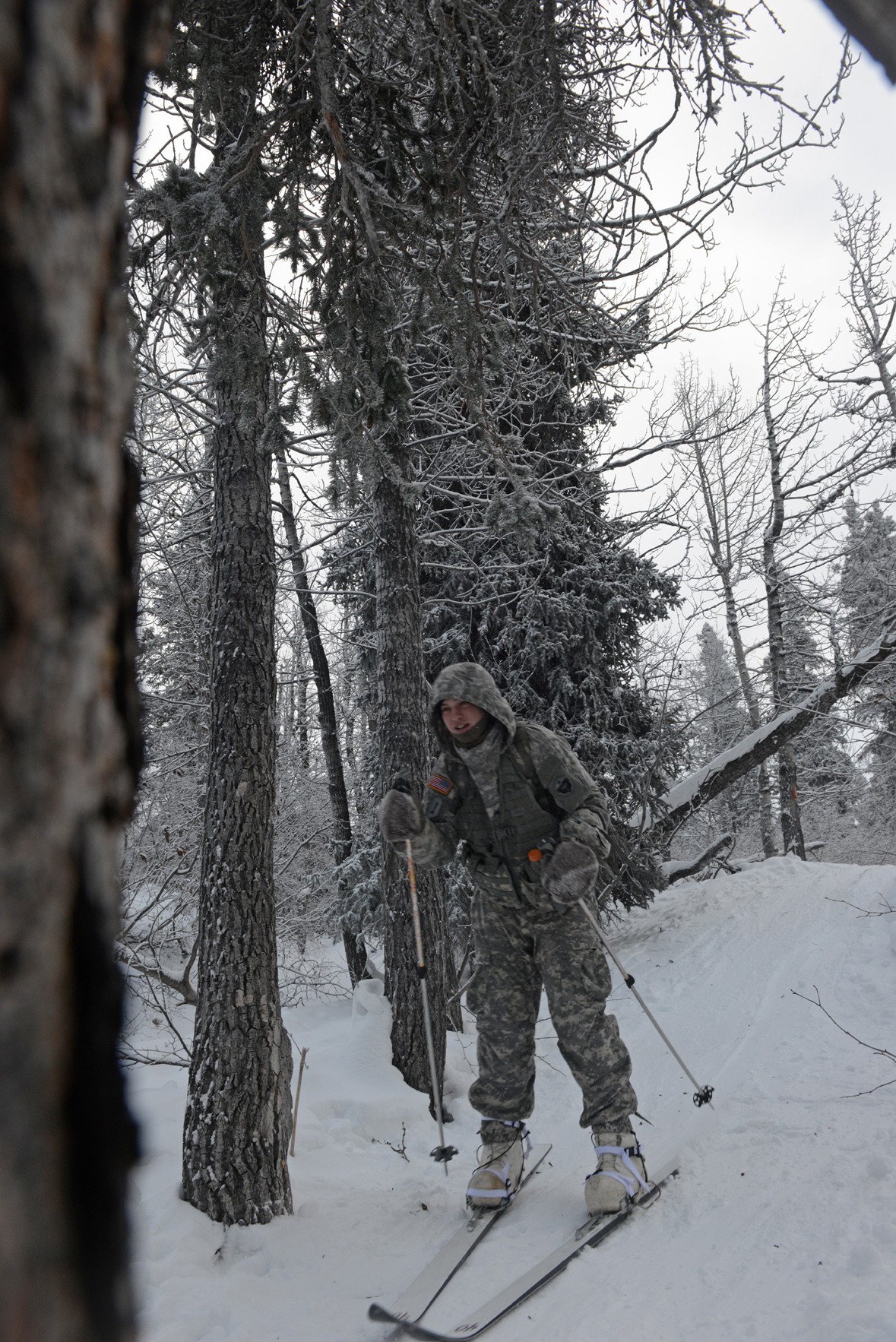 Soldiers Learn Skiing Snowshoeing In Arctic Conditions Article The United States Army