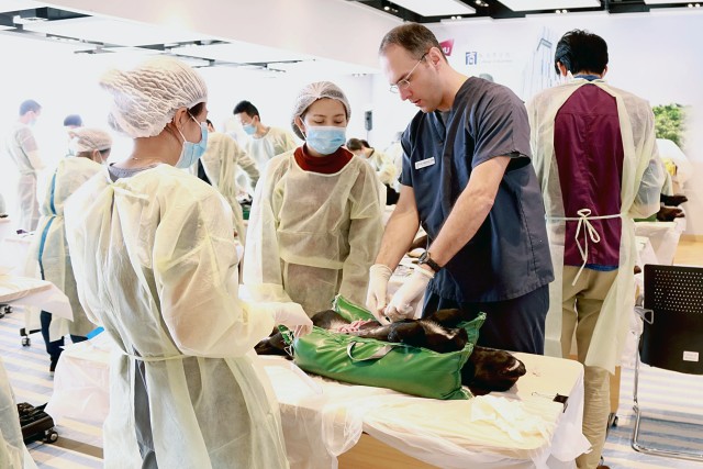 Surgical demonstration