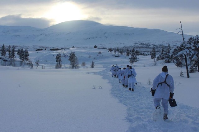 Joint Viking brings training to the Arctic Circle