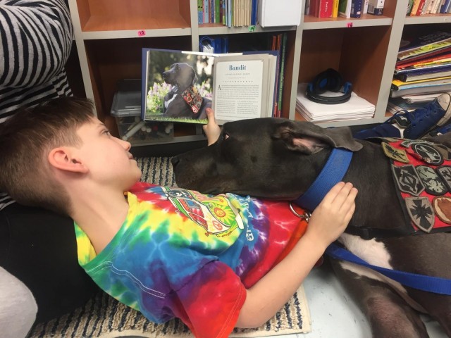 Missouri USO "mascot" gets own chapter in National Geographic book
