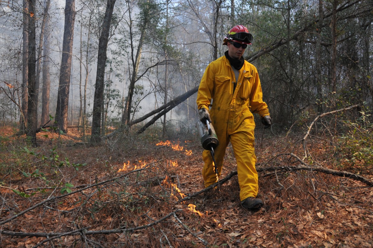 Prescribed Burns Reduce Wildfire Risks Maintain Ecosystem Article The United States Army