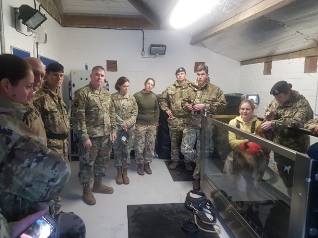 Public Health Command Europe vets visit UK's Defence Animal Centre