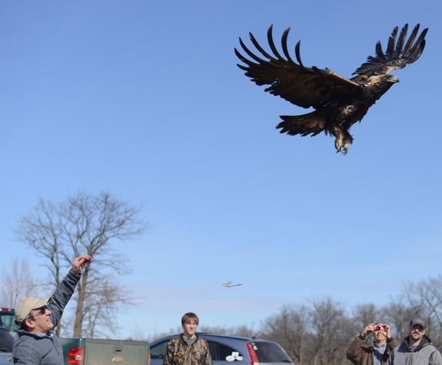 Golden Eagle Project