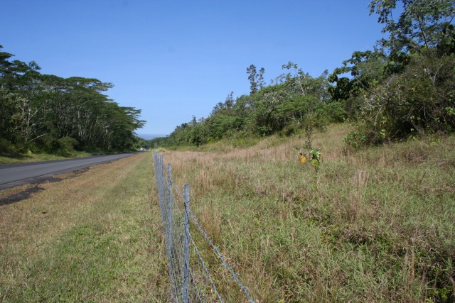 Invasive Species Control Using Contractors