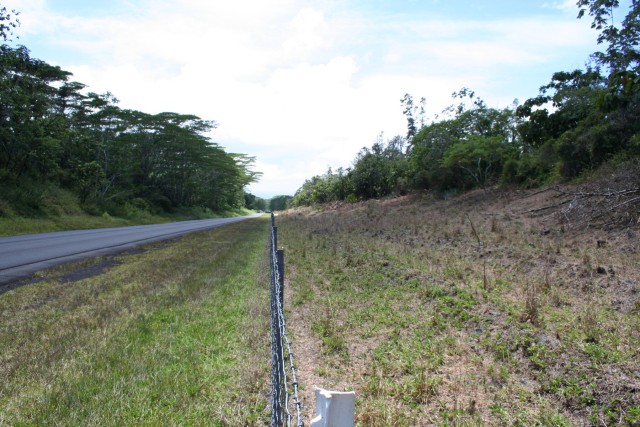 Invasive Species Control by Grazing Animals