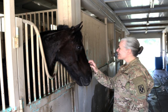 Soldiers help nurture horses to health