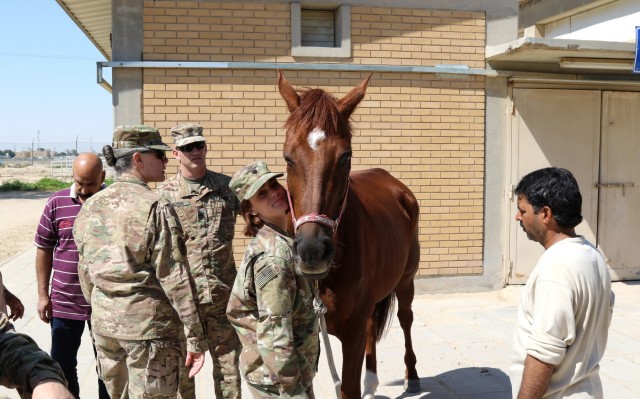 Soldiers help nurture horses to health
