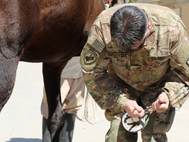 Soldiers help nurture horses to health