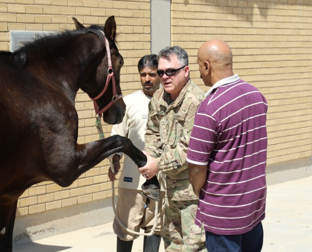 Soldiers help nurture horses to health