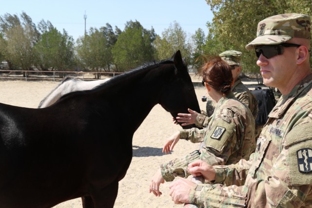 Soldiers help nurture horses to health