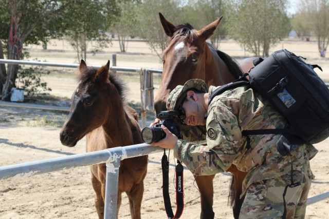 Soldiers help nurture horses to health