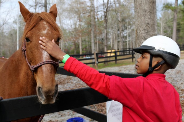 A horse, friend