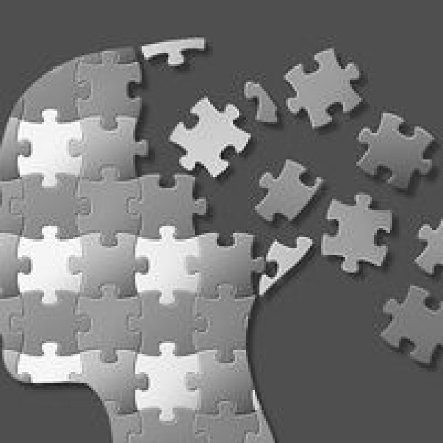 quickshootin Puzzle head