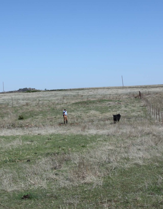 Ranch1
