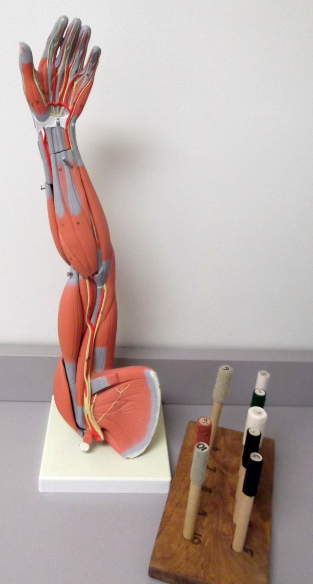 Dowel rods