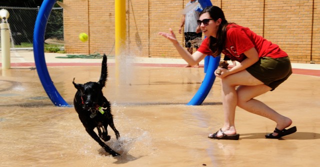 4-legged family members get VIP treatment at Splash!