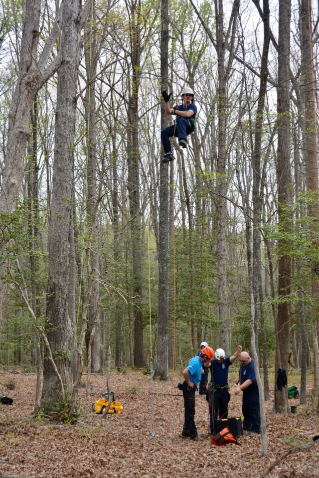 Fort A.P. Hill Firemen and Foresters train for tree-top rescue