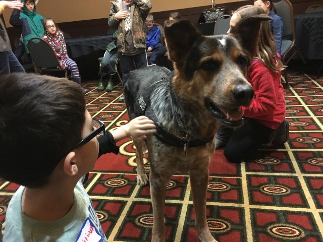 Ted, the therapy dog, helping support Wisconsin's military kids