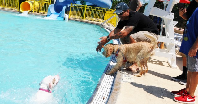 Dog Days of Summer earns rave reviews