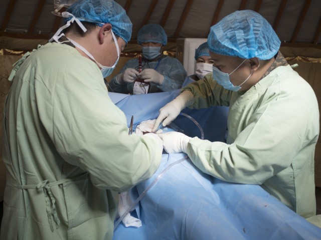 Simulated patient surgery
