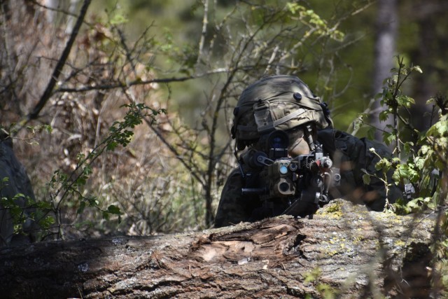 2CR conducts land operations during Saber Junction 17