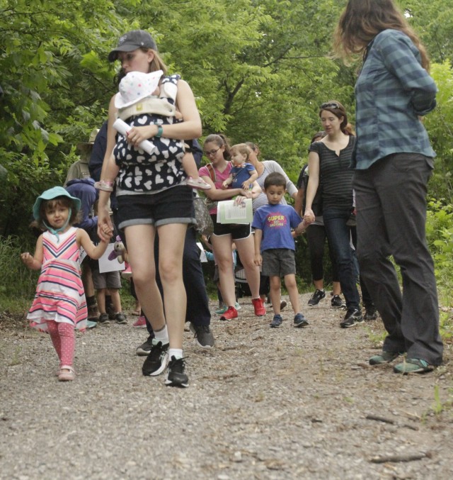Nature explorers