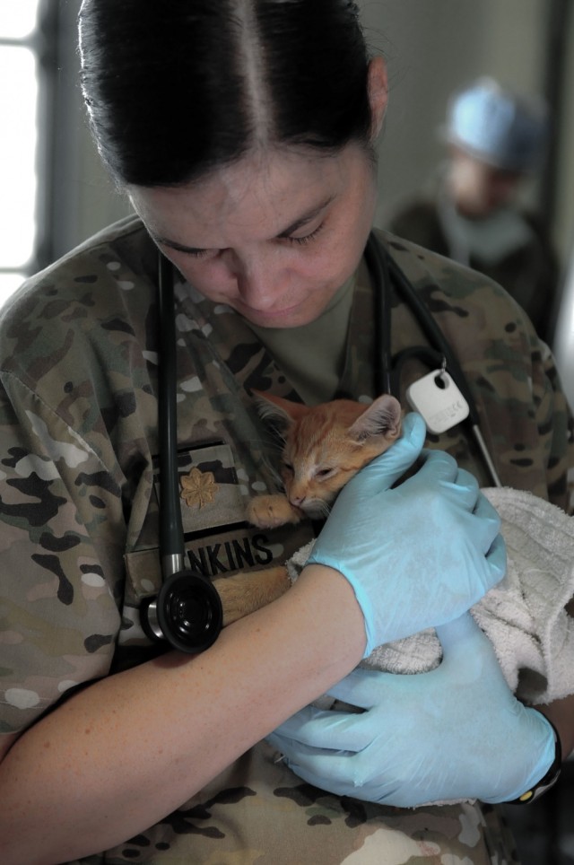 US Army Veterinary Corps