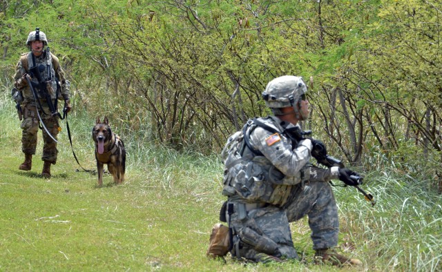 'Workhorse' MPs train for deployment