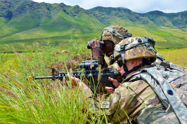 'Workhorse' MPs train for deployment