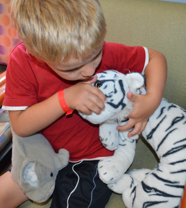 Fort Carson veterinarians fix beloved toys with Teddy Bear Clinic