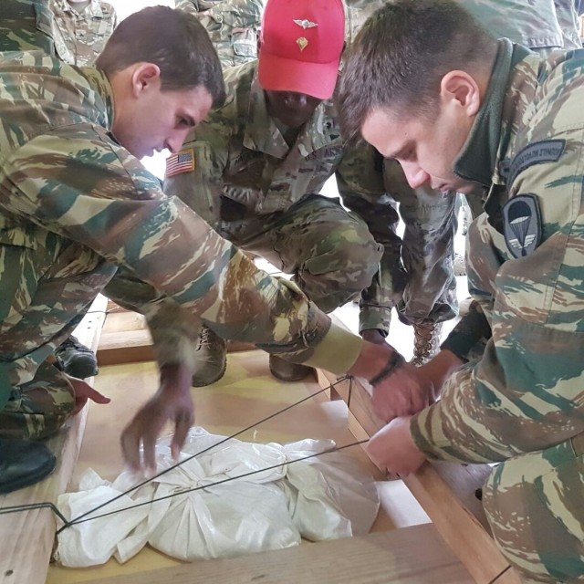 Theater Aerial Delivery Company conducts interoperability training in Greece