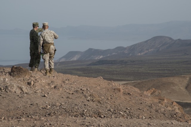 Army, joint forces conduct vital 'hot range' training in Africa
