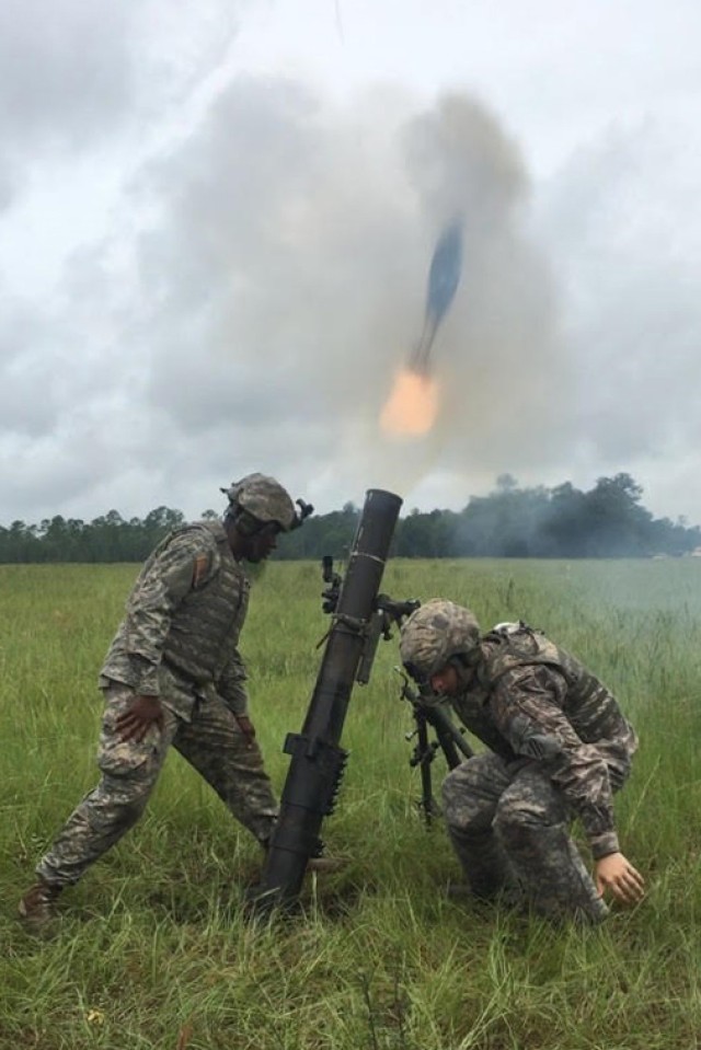 48th IBCT and 3rd ID parnter for annual training