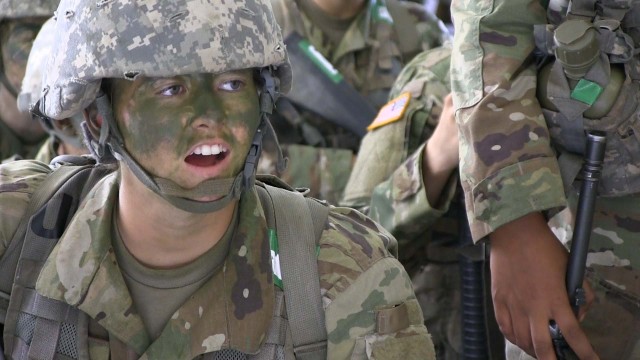 Pvt. Dibbins