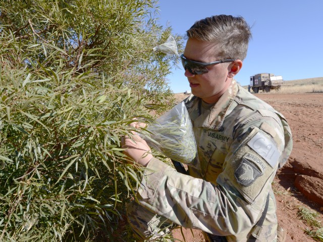 Soaking up knowledge: Soldiers find water in dry African region using simple steps