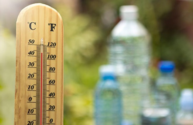 Keep your coll in hot weather