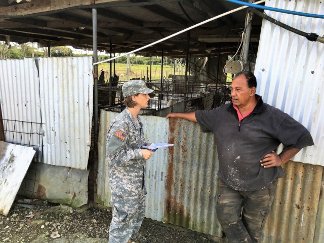 Army veterinarians team with Tonga to provide animal care on the islands