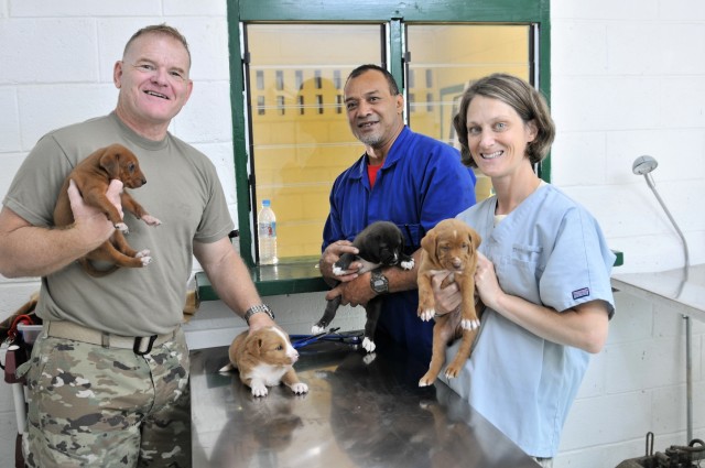 Army veterinarians team with Tonga to provide animal care on the islands