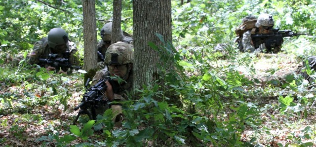 Soldiers hone air support capabilities in Northern Strike exercise