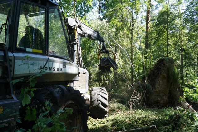 German Forestry Office lifts broken trees