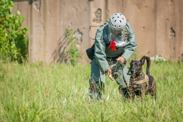 Engineers, dogs learning new tricks at Fort Leonard Wood