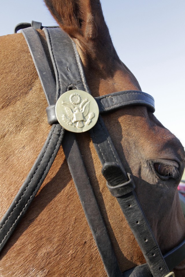 Half Section rosette