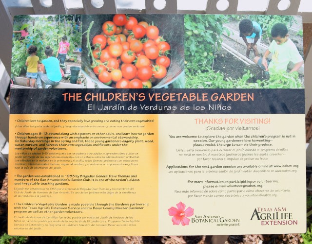 Children's vegetable garden at San Antonio Botanical Garden