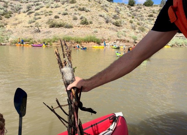 Boaters "Sweep up" Cochiti Lake