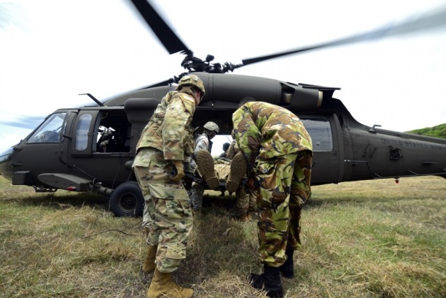 Army enhances interoperability with parter nations during PANAMAX 2017 exercise