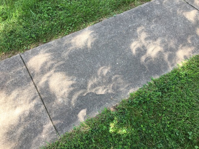 usa image