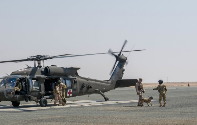Joint Medical Training