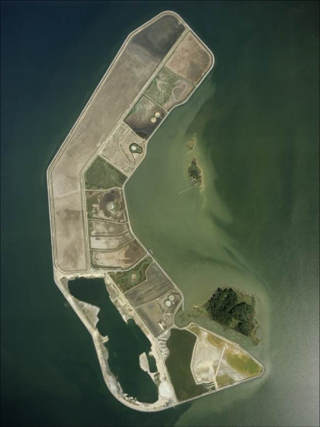 Army helping restore wildlife habitat on Chesapeake's Poplar Island