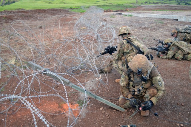 25ID conducts combined arms exercise