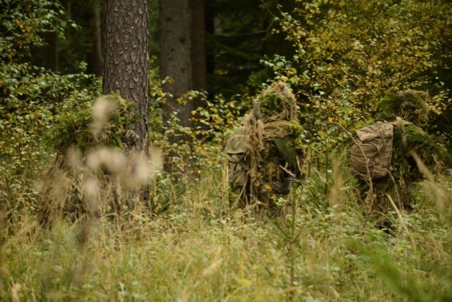 Stalking
